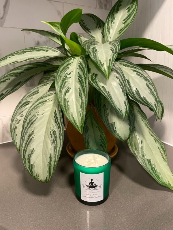Honeysuckle Candle